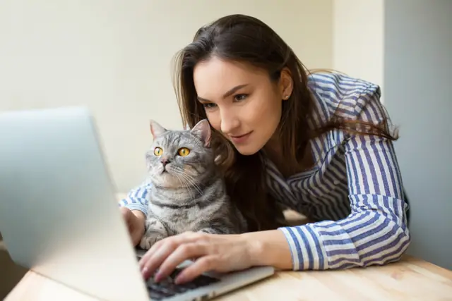 Mulher segurando um gato cinza enquanto os dois olham atentos para a tela de um notebook.