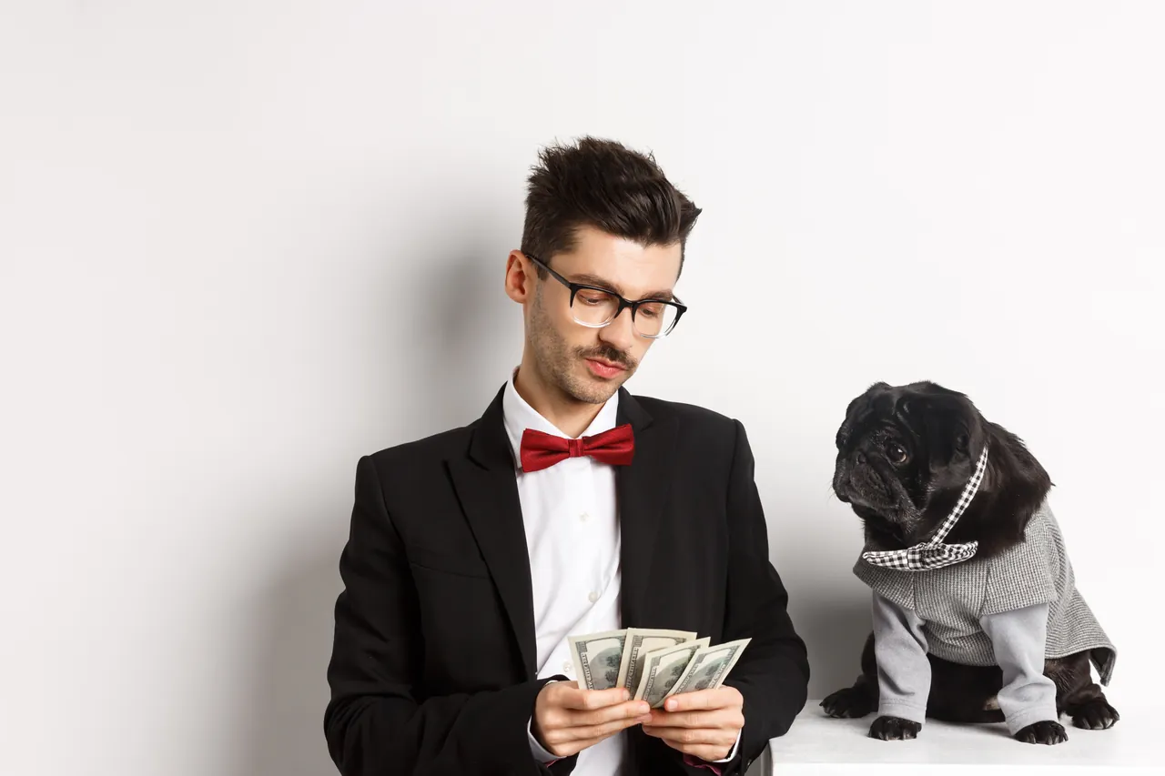 Homem de terno contando notas de dinheiro ao lado de um pug preto fantasiado, sobre fundo branco.